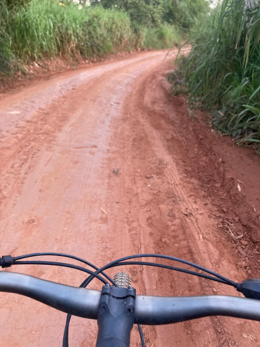 Andi MTB Brasil